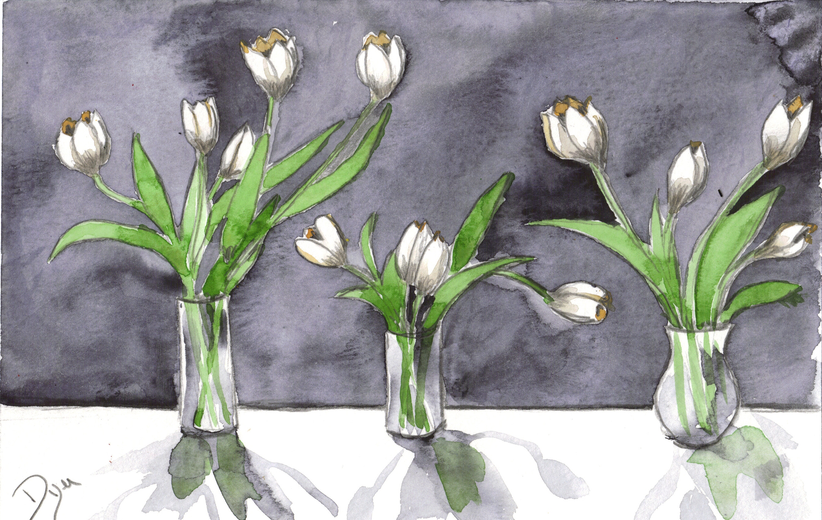 Lantern tulips
